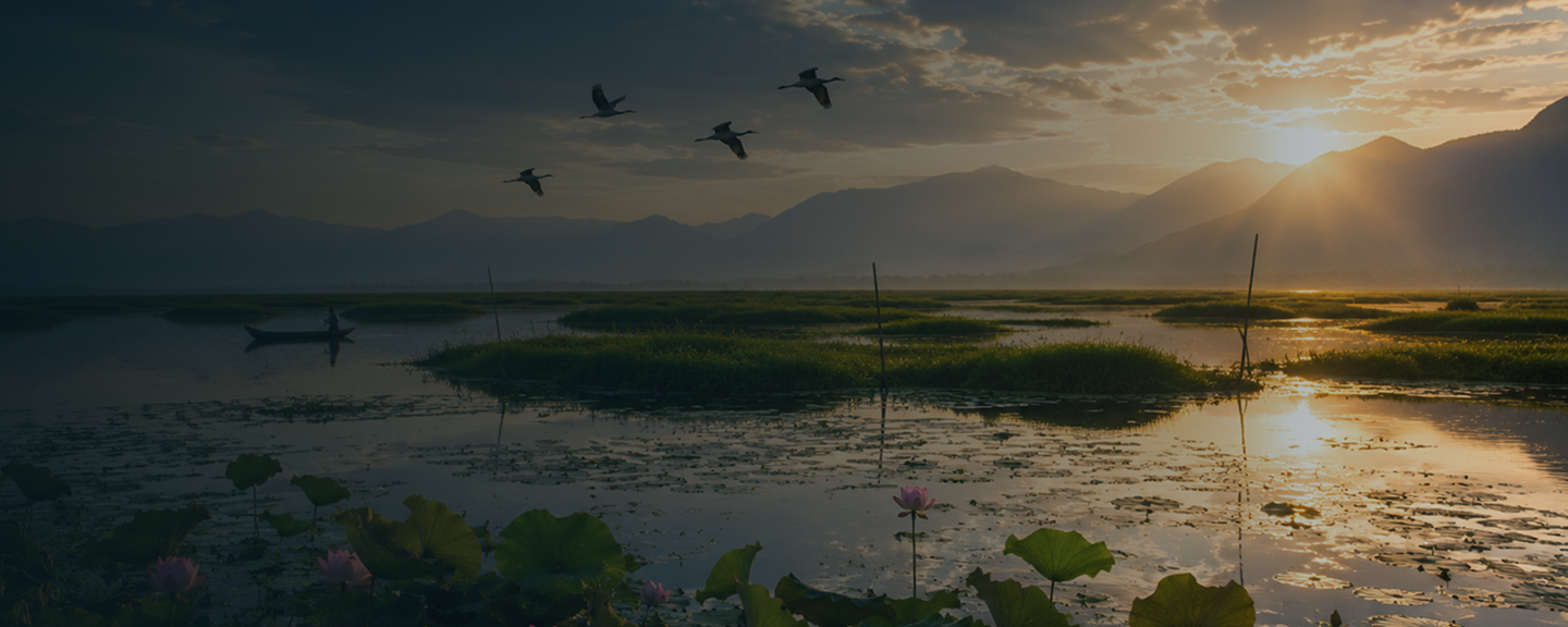 Sunrise over Loktak Lake wetlands